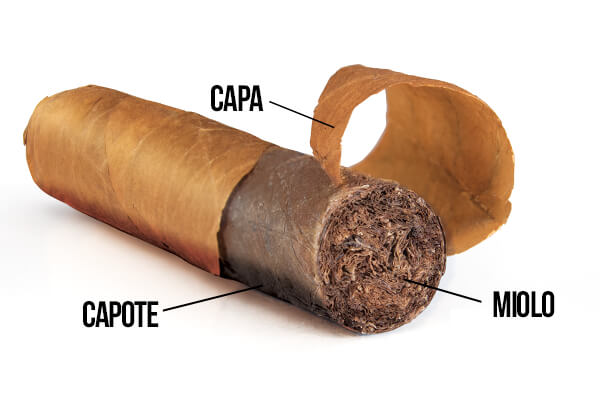 Capa, Capote e Miolo do Charuto