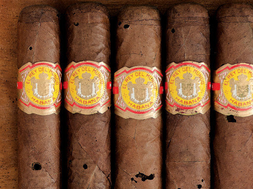 Charuto Furado pelo Lasioderma